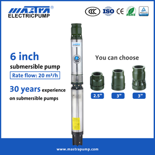 Mastra de 6 polegadas de 6 polegadas Solar Submersível Kit de bomba de água R150-DS Bombas de irrigação submersíveis para venda