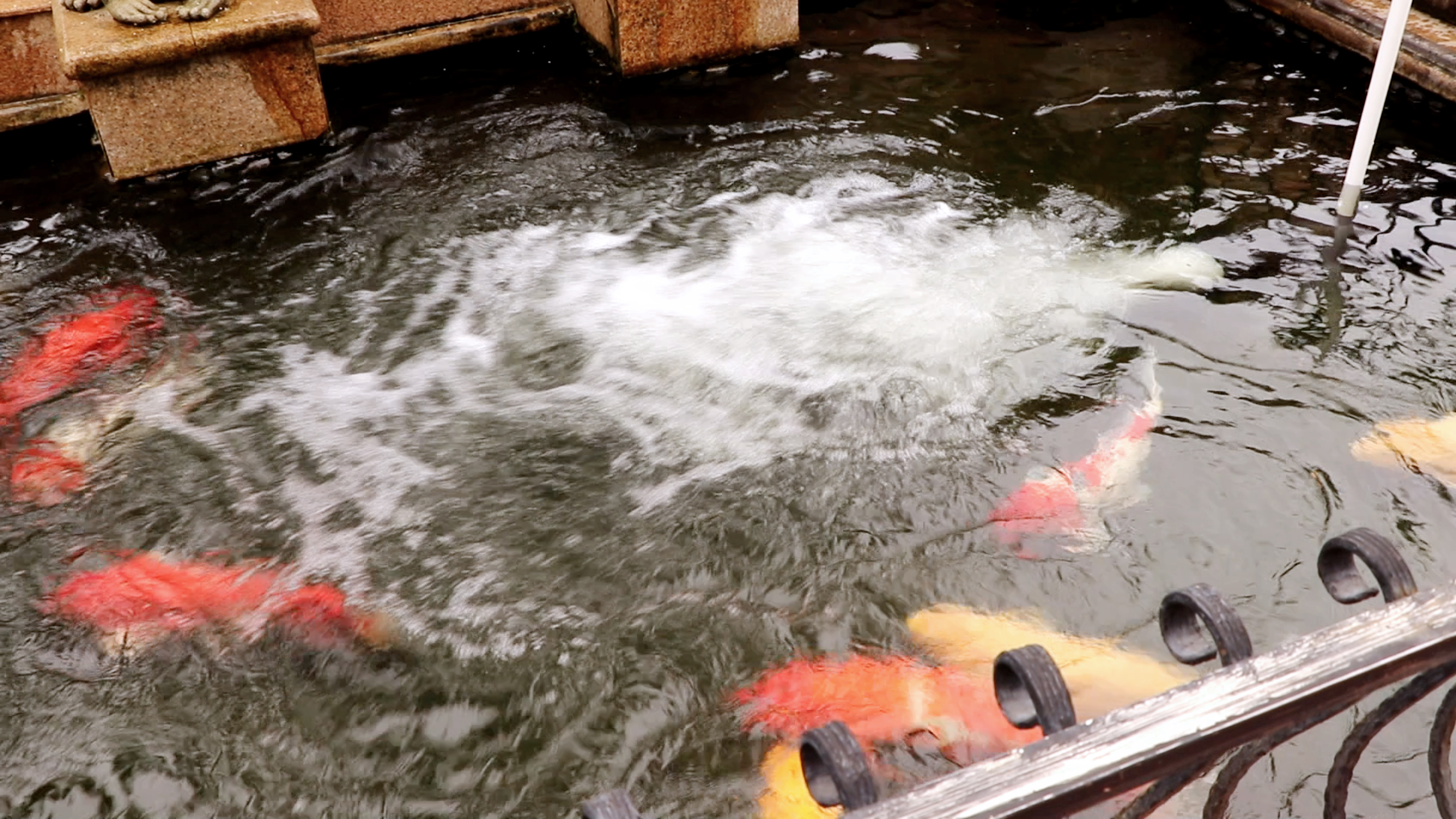 Bomba de água submersível para lagoa