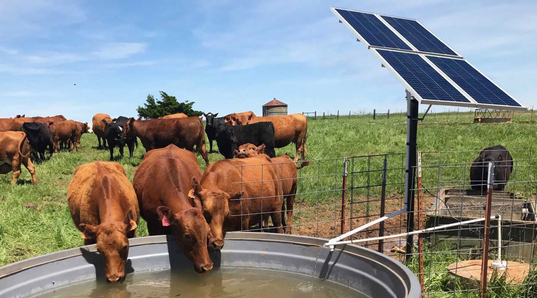 Bomba de irrigação solar