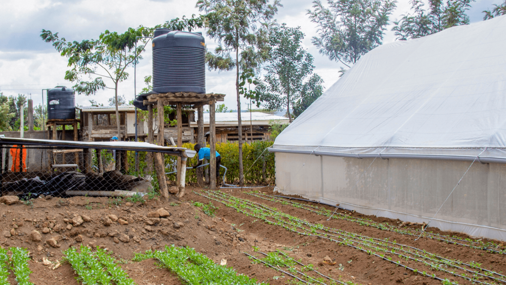 Bomba de água solar para irrigação